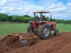 Agricultores realizam aração de terra de forma gratuita. 